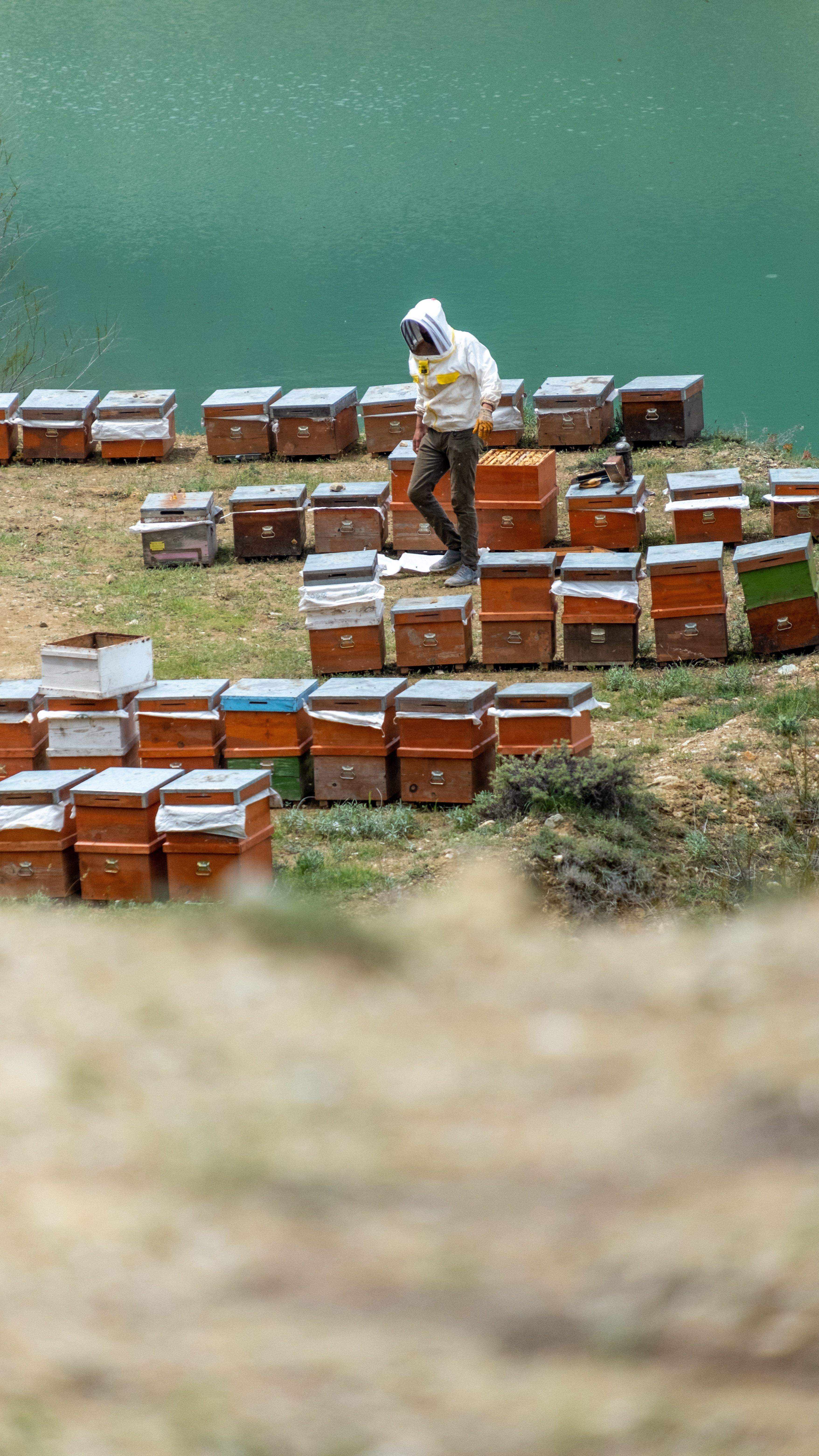 Hive rows